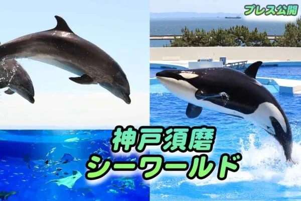 神戶須磨海洋世界