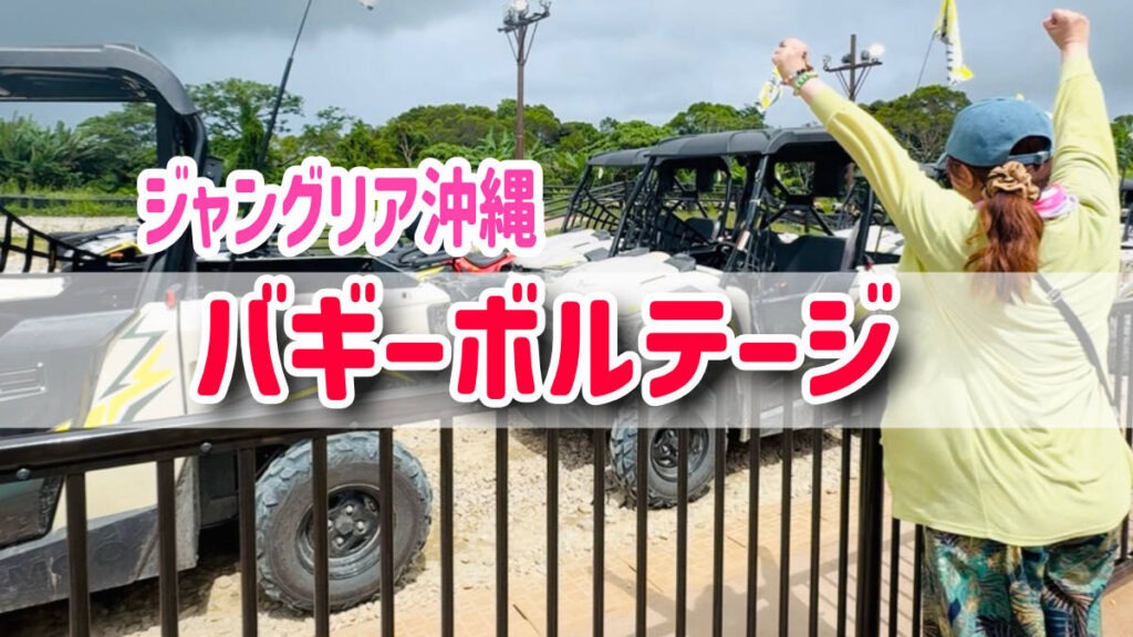 JUNGLEIA OKINAWA 버기 볼티지