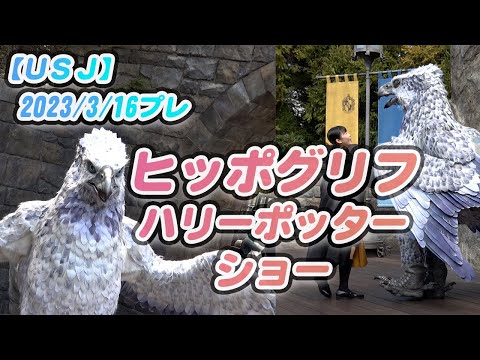 【USJハリーポッター】魔法生物ヒッポグリフのショー