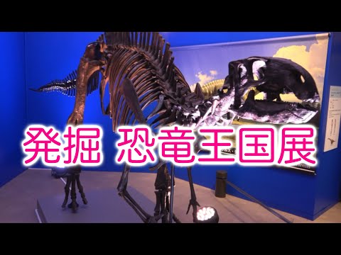 福井県立恐竜博物館の特別協力【発掘 恐竜王国展】