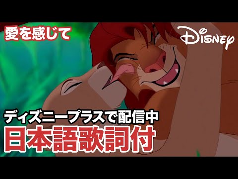 ディズニー・ミュージック・ショーケース／愛を感じて｜ディズニープラス