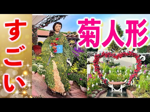 ４体の菊人形がリアル♪ひらパーバラ園が見頃♪