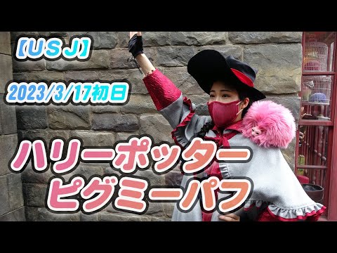 ハリーポッター魔法動物ピグミーパフと魔法使い(マジカル・クリチャーズ・エンカウンター)初日