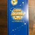 マタニティディズニーに行く前に！安心して楽しい思い出を作りに行こう