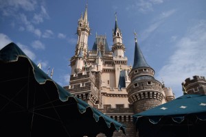 1人ディズニー メリット・デメリット