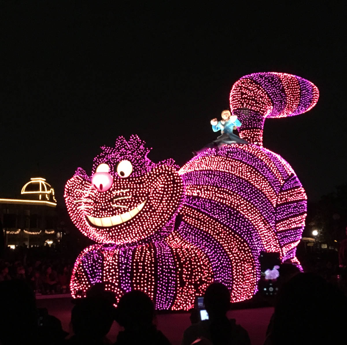 ディズニーランド　夜のデート