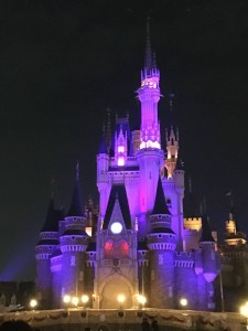ディズニーランド 夜のデート