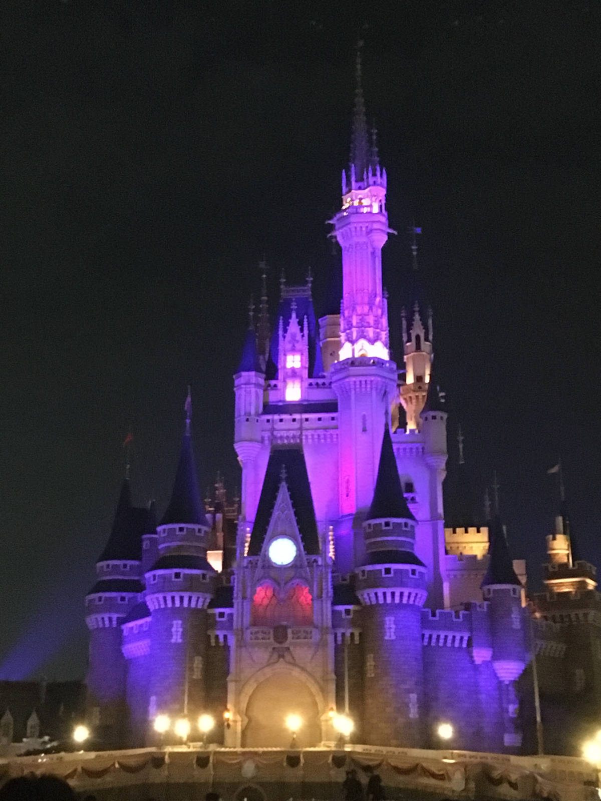 ディズニーランド　夜のデート