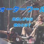 USJウォーターワールド豆知識♪見どころ♪待ち列の展示物も紹介!動画も