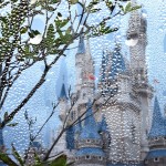 【雨の日】ディズニーランド・シーの雨の日限定！知られざる楽しみ方とは