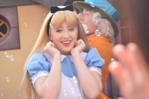 アリス グリーティング