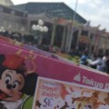 必見！ディズニーランド初心者が知っておきたい事