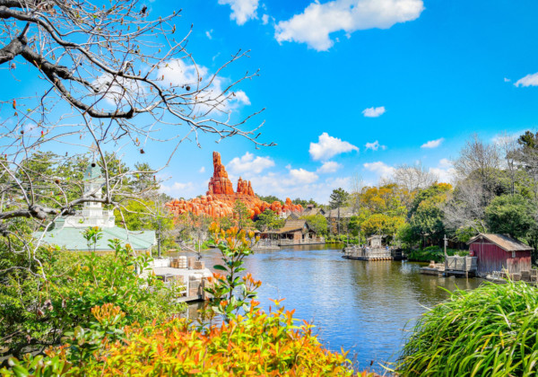 ディズニーランド　風景