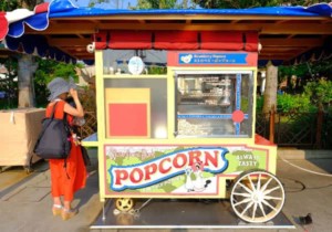 ディズニーシーポップコーンワゴンの場所・種類・混雑度
