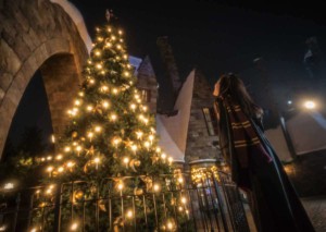 ハリーポッターエリア クリスマス