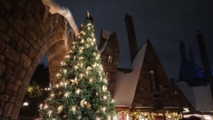 光るクリスマスツリー