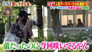 バラが蕾から開花