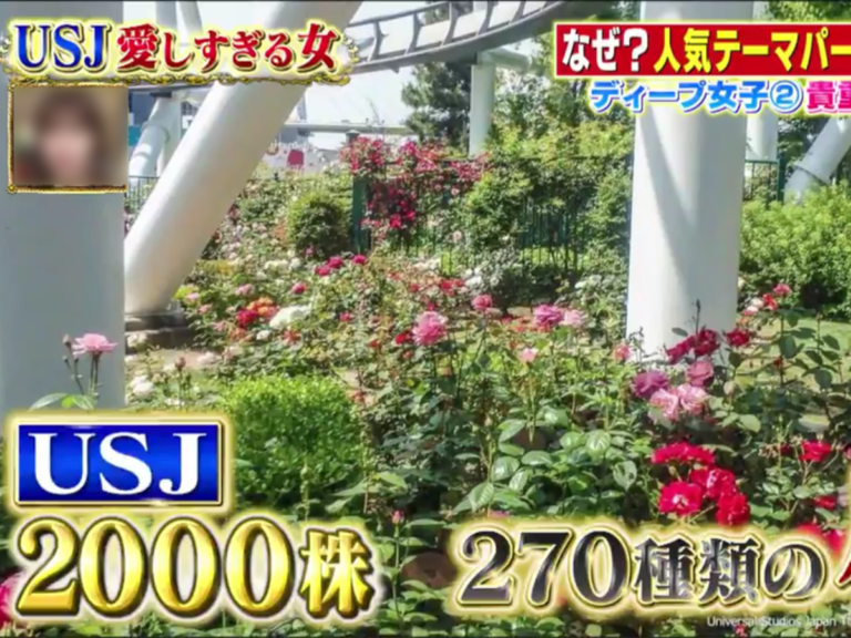 【USJ】TV取材のあれこれレポート【愛しすぎる女】