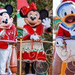 【TDL】心が温まる季節♪東京ディズニーランドのクリスマス