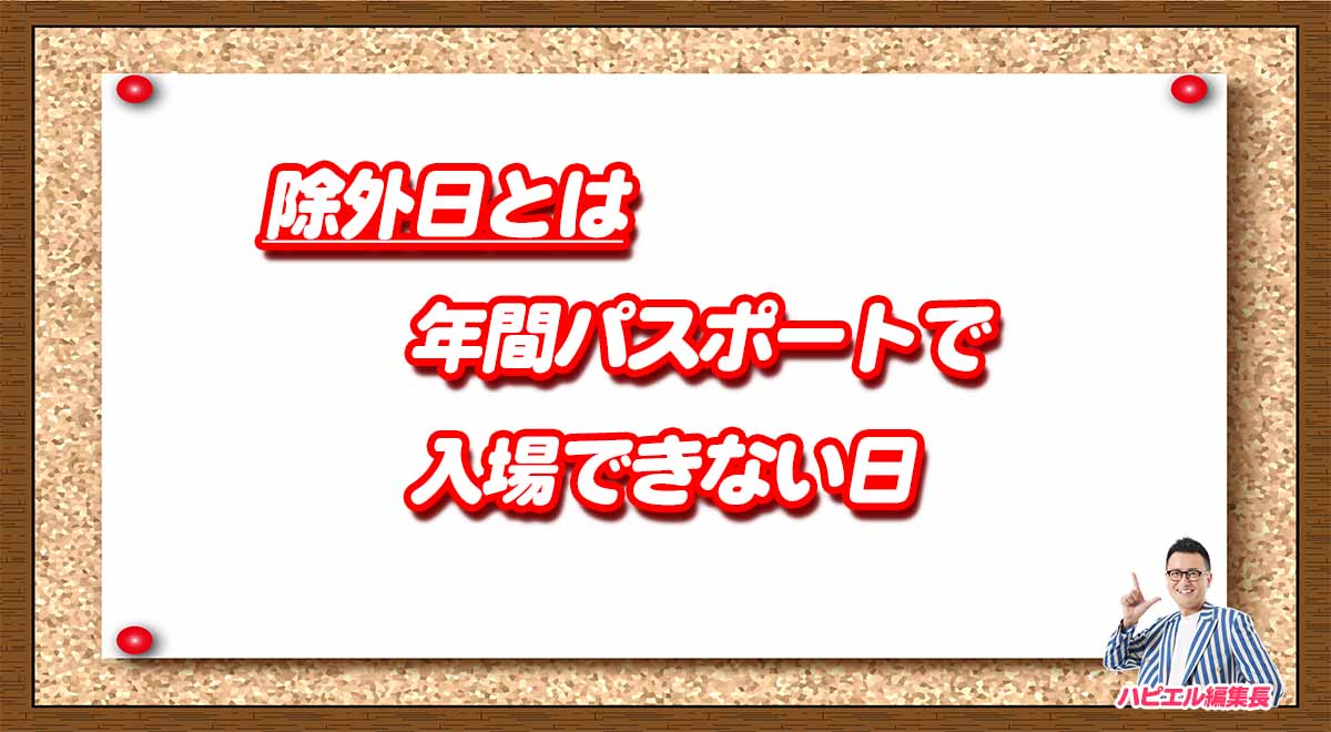 年パス除外日