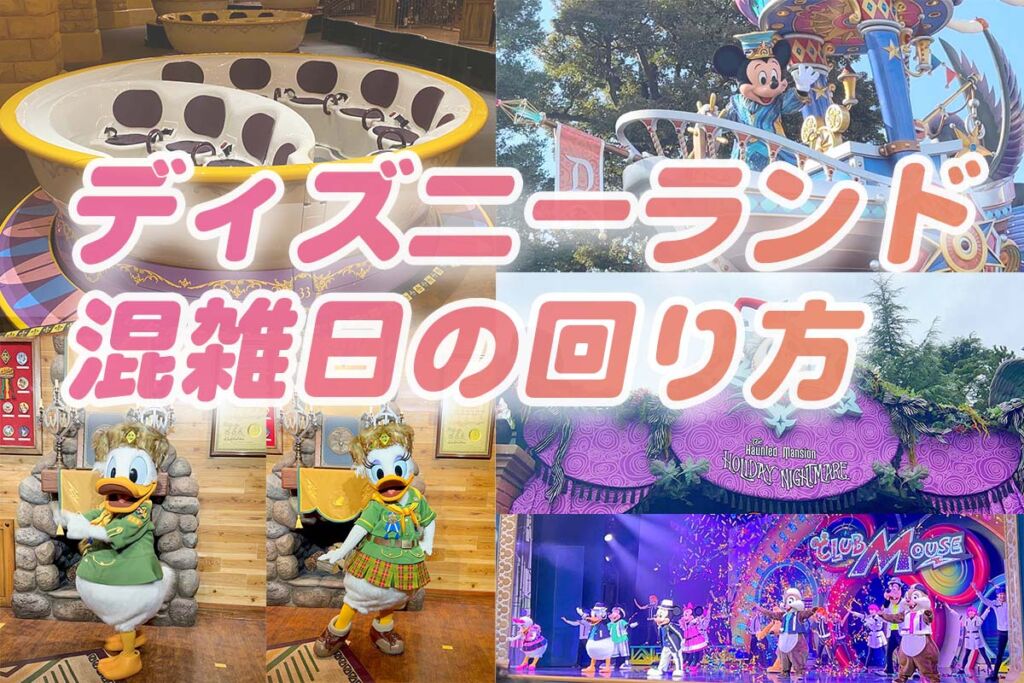 2024】ディズニーランド混雑時の回り方！後悔しないための最新情報