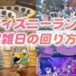 ディズニーランド回り方