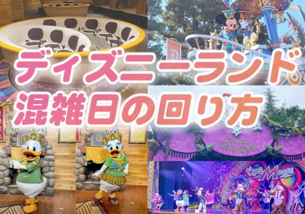 ディズニーランド混雑日の回り方