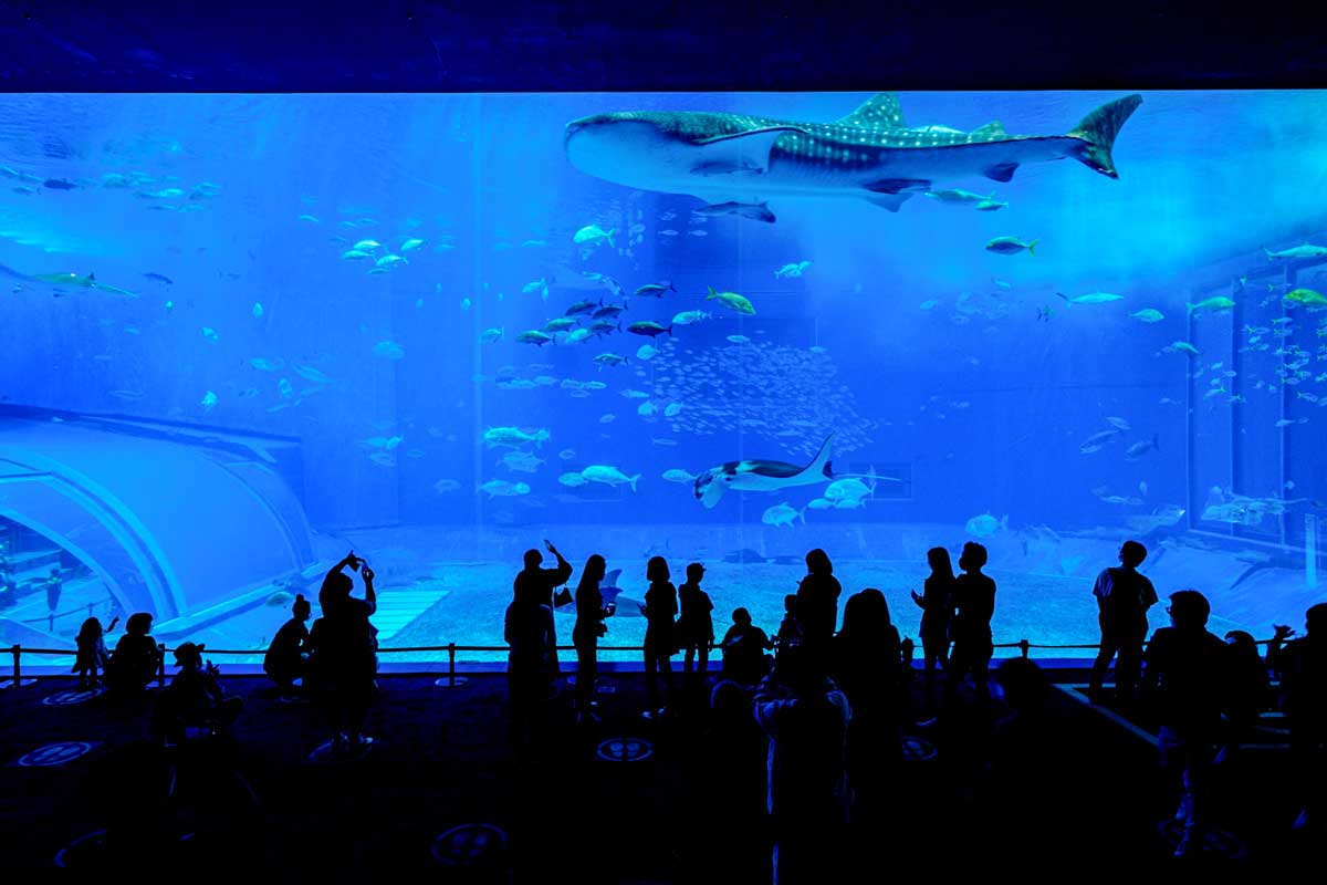 沖縄美ら海水族館