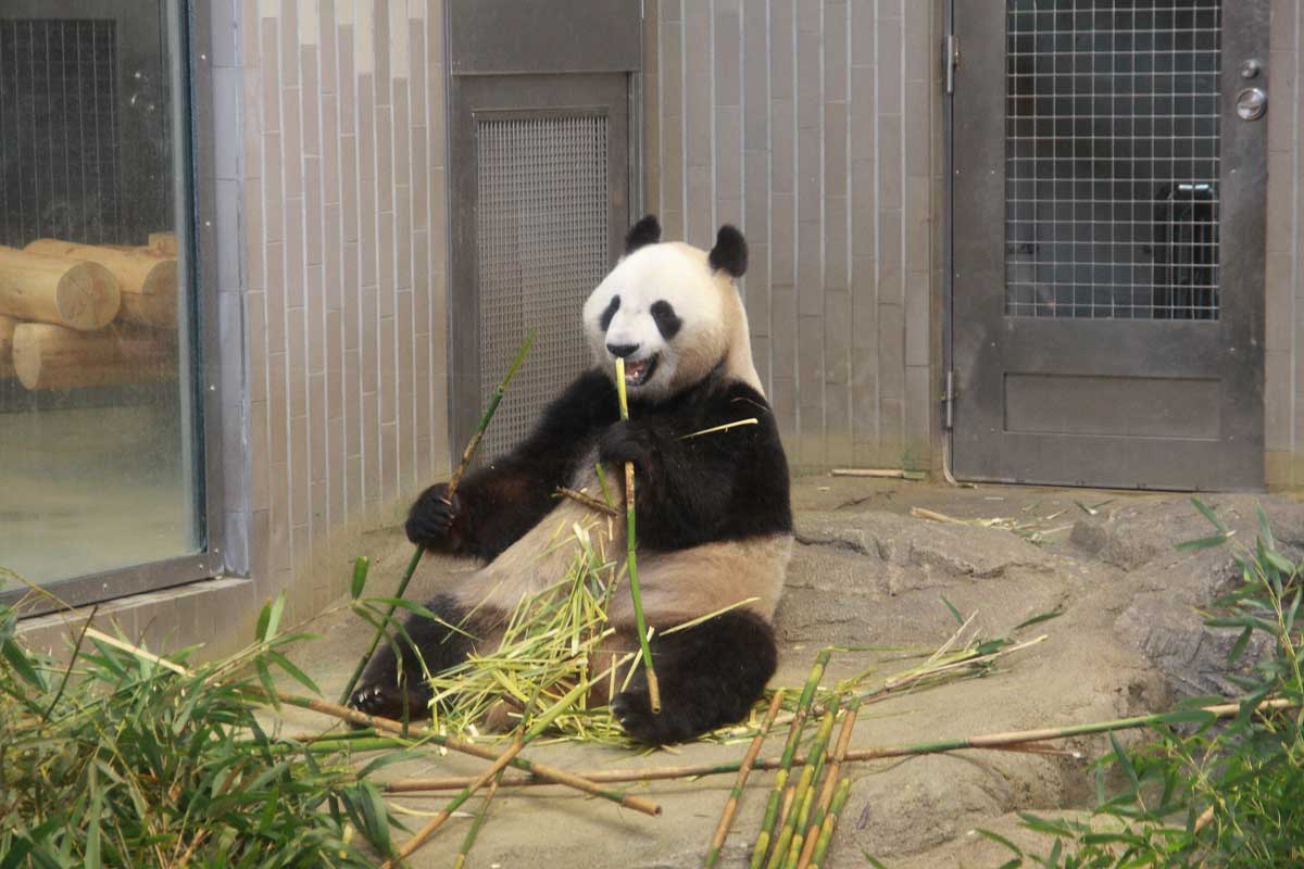 上野動物園