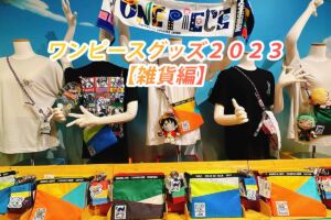 USJワンピースグッズ2023　雑貨