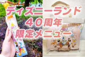 東京ディズニーランド40周年限定メニュー