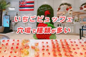 大阪いちごバイキング おすすめ