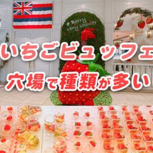 大阪いちごバイキング　おすすめ