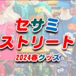 USJセサミストリートグッズ【2024春･新作】