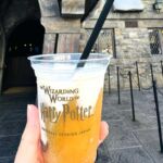 ハリーポッターエリア夏のおすすめデザート【フローズンバタービール・バタービールアイスクリーム】