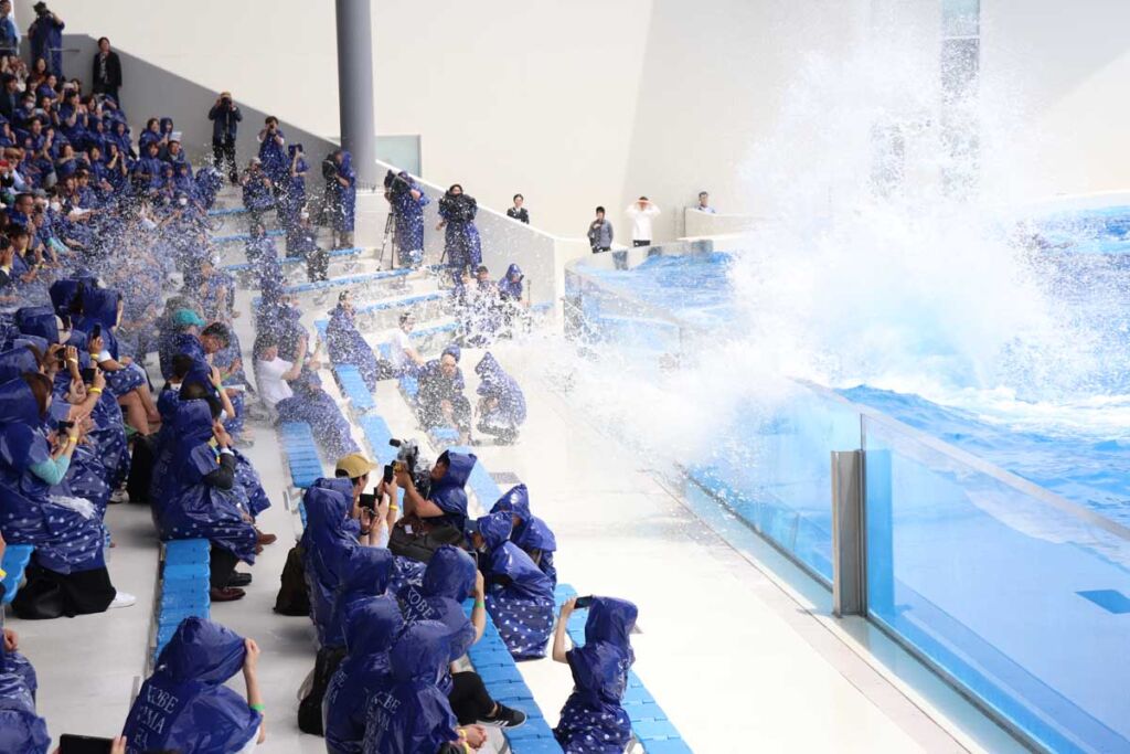 オルカショー　大量の水でびしょ濡れ