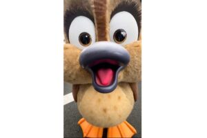 映画FLY!フライ グウェン
