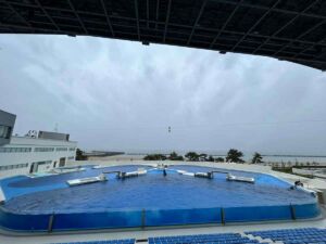 雨の日 シャチのショー