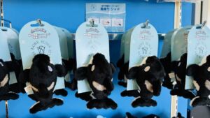 肩乗りグッズ(オルカ・マゼランペンギン)