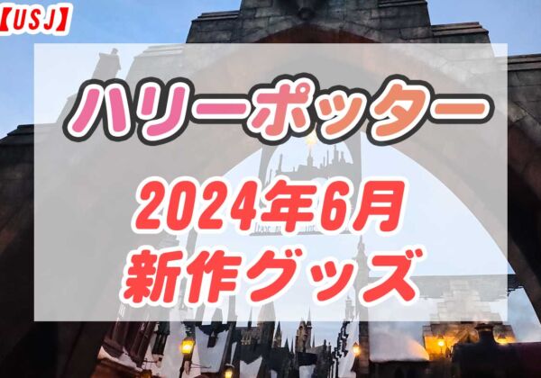 USJハリーポッター2024年6月グッズ