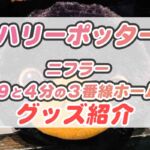 USJハリーポッターエリア６月新作グッズその２