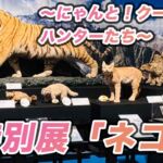 野生ネコからイエネコまで♪大阪市立自然史博物館の特別展「ネコ」グッズも紹介♪猫好きからトラ好きまで。体感できる展覧会イベント