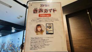 音声ガイド 高山みなみ