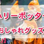ハリーポッター新作グッズ！おしゃれなシュシュからキュートなリングまで