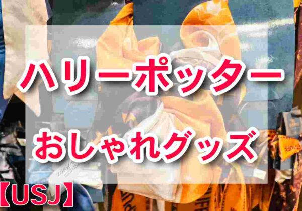 USJハリーポッターグッズ2024　おしゃれグッズ