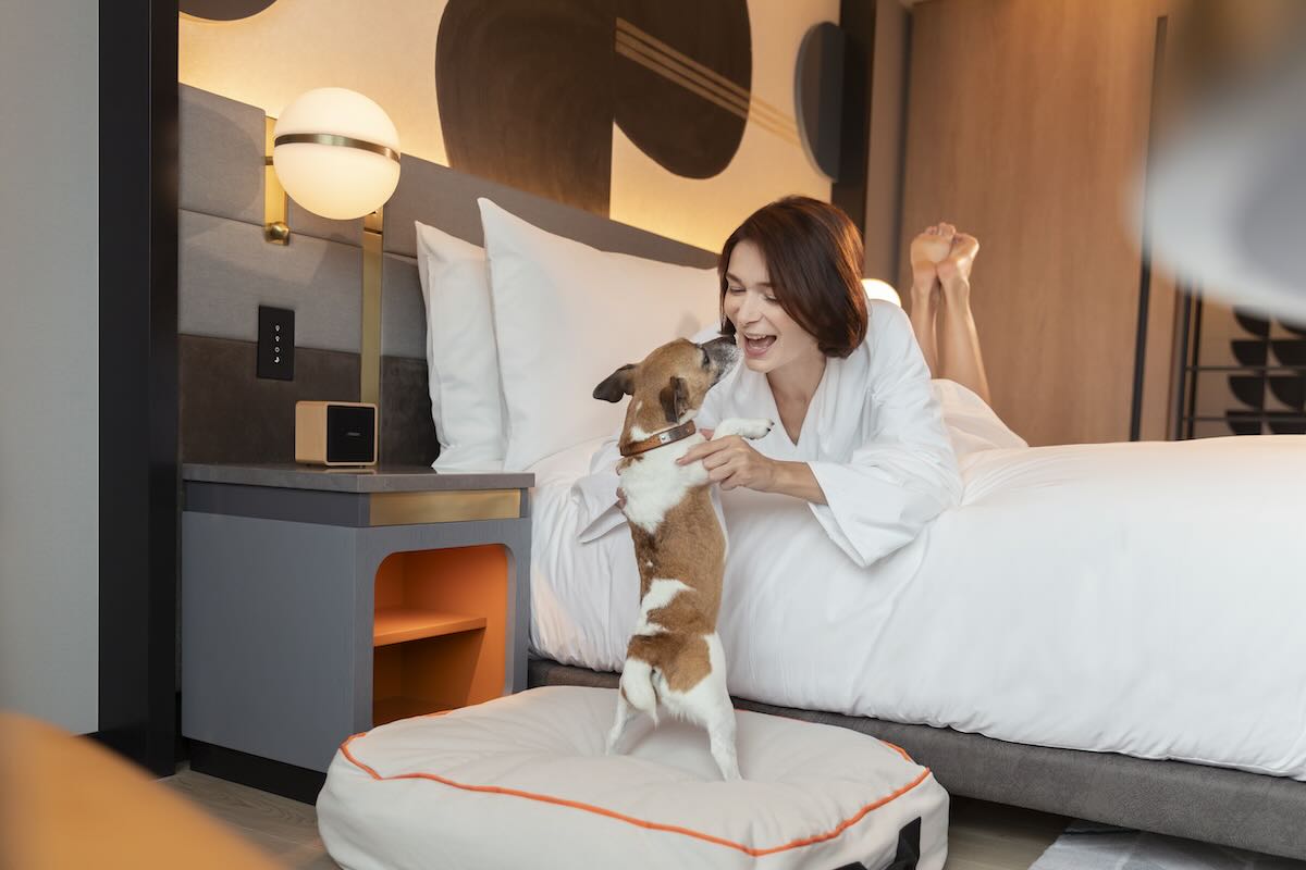 Canopy by Hilton Osaka Umeda - Pet-Friendly Room