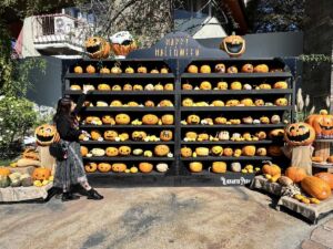 【ひらかたパーク】ハロウィンフォトスポット