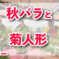 ひらパーで秋バラが見頃＆「菊人形」が３年ぶり復活！この秋の映えスポット