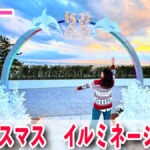 ロマンチックな夜を♪神戸須磨シーワールドの冬限定ライトアップ