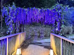 橋の先にある藤の花を抜けて那田蜘蛛山へ